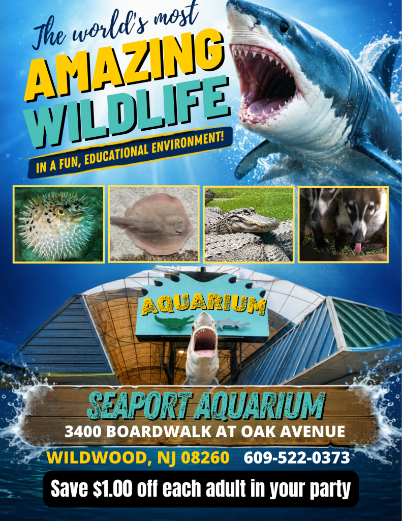 Wildwood Seaport Aquarium in New Jersey - Cape May County shore attraction with marine life exhibits and family entertainment deals