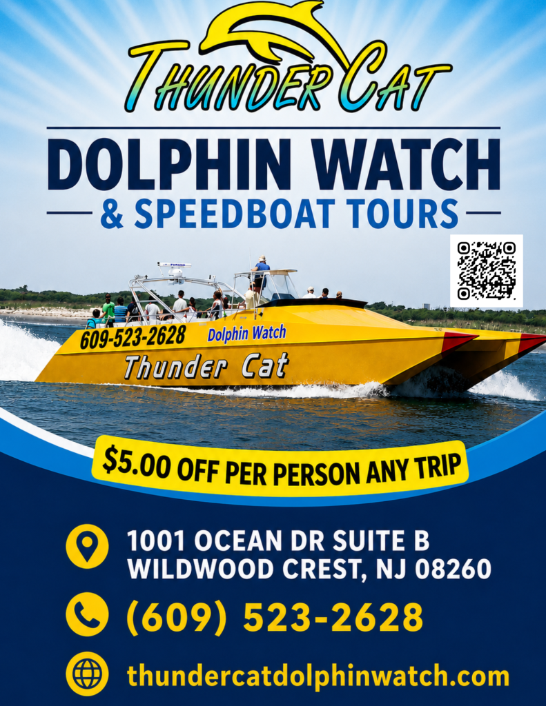 "Thunder Cat Dolphin Watch speedboat tour in Wildwood NJ - TripAdvisor's #1 rated dolphin watching experience in South Jersey with guaranteed dolphin sightings off Wildwood Crest"