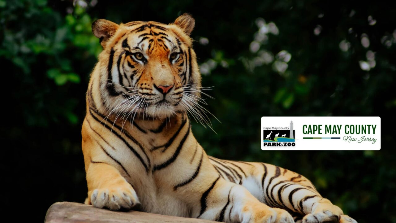 Cape May County Park Zoo